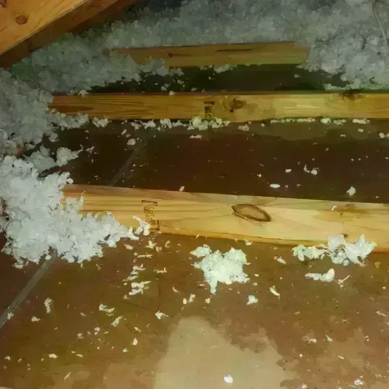 Attic Water Damage in Omao, HI