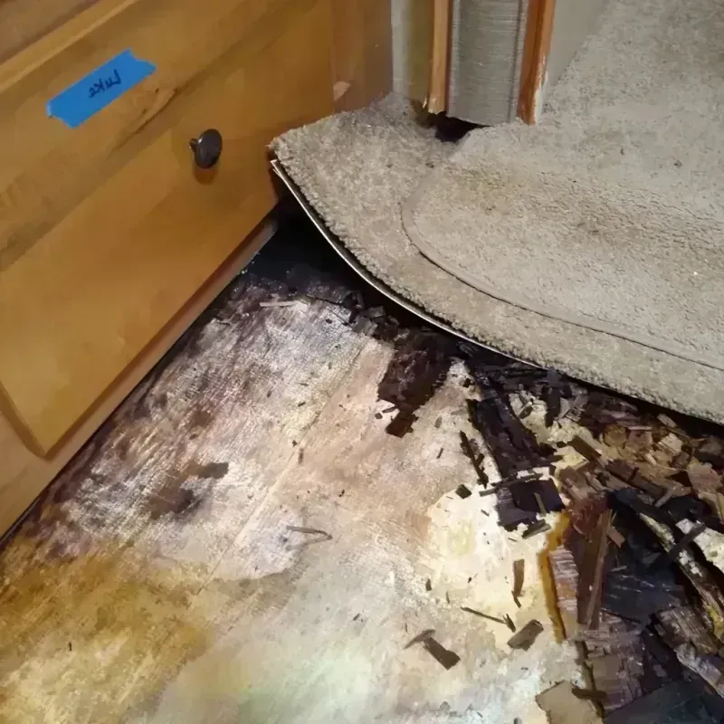 Wood Floor Water Damage in Omao, HI